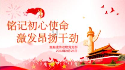 逗小猴开心系列168