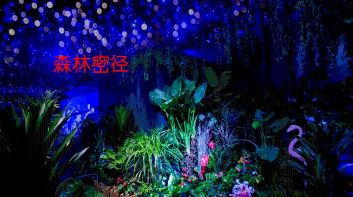 总台记者专访丨瑙鲁外长：承认一个中国原则是经充分讨论后的正确决定